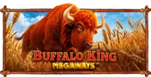 ภาพเกม Buffalo King Megaways ที่ next99 รวบรวมไว้